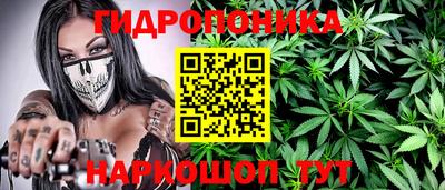 СК Кимры