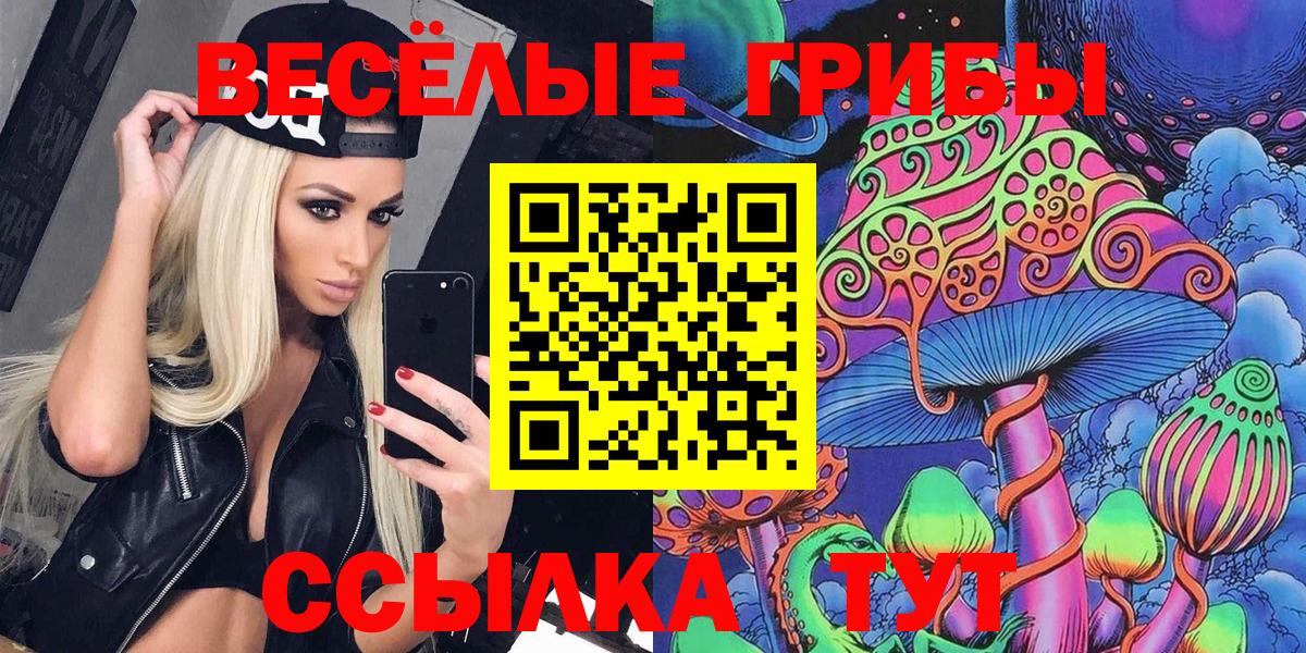 Псилоцибиновые грибы GOLDEN TEACHER Кудымкар